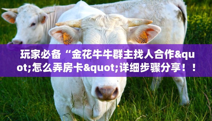 玩家必备“金花牛牛群主找人合作"怎么弄房卡"详细步骤分享!!! 玩家必备“金花牛牛群主找人合作"怎么弄房卡"详细步骤分享!!!