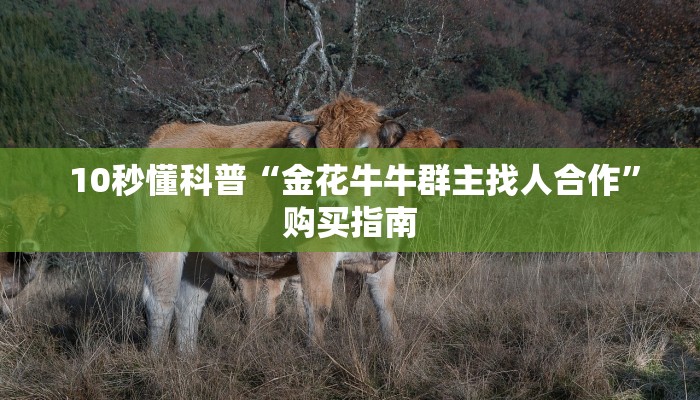  10秒懂科普“金花牛牛群主找人合作”购买指南