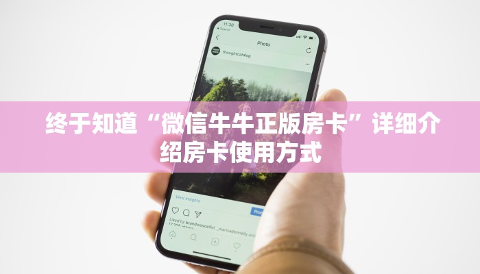 终于知道“微信牛牛正版房卡”详细介绍房卡使用方式 终于知道“微信牛牛正版房卡”详细介绍房卡使用方式