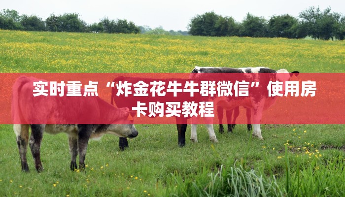 实时重点“炸金花牛牛群微信”使用房卡购买教程 实时重点“炸金花牛牛群微信”使用房卡购买教程