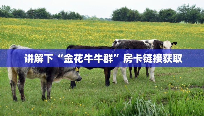 讲解下“金花牛牛群”房卡链接获取 讲解下“金花牛牛群”房卡链接获取