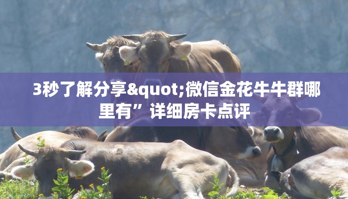 3秒了解分享"微信金花牛牛群哪里有”详细房卡点评 3秒了解分享"微信金花牛牛群哪里有”详细房卡点评