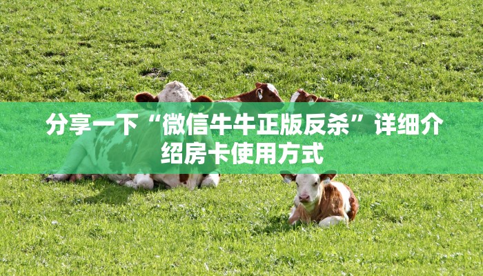 分享一下“微信牛牛正版反杀”详细介绍房卡使用方式 分享一下“微信牛牛正版反杀”详细介绍房卡使用方式