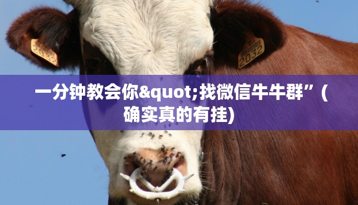 一分钟教会你"找微信牛牛群”(确实真的有挂) 一分钟教会你"找微信牛牛群”(确实真的有挂)