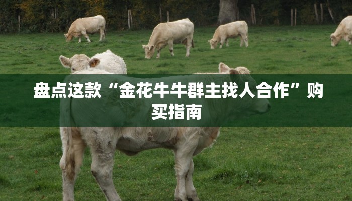 盘点这款“金花牛牛群主找人合作”购买指南 盘点这款“金花牛牛群主找人合作”购买指南
