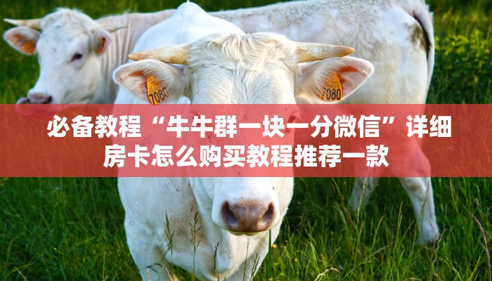 必备教程“牛牛群一块一分微信”详细房卡怎么购买教程推荐一款 必备教程“牛牛群一块一分微信”详细房卡怎么购买教程推荐一款